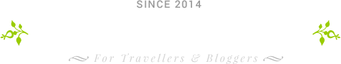 Logo Footer
